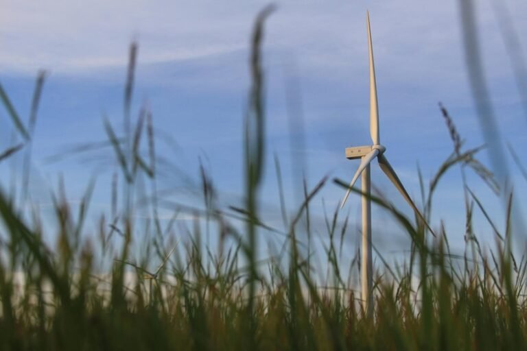 intelligent it solutions growth